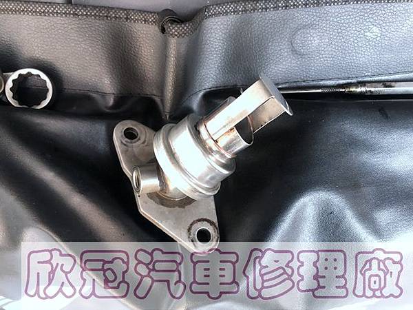 IMG_3494.jpg IMG_3494.jpg