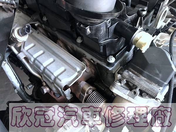 IMG_3499.jpg IMG_3499.jpg