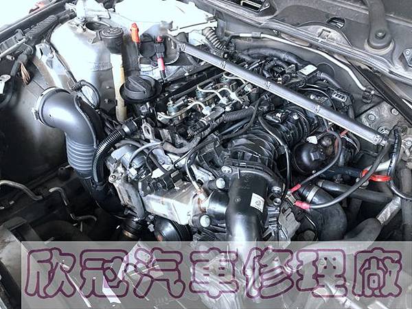 IMG_3501.jpg IMG_3501.jpg