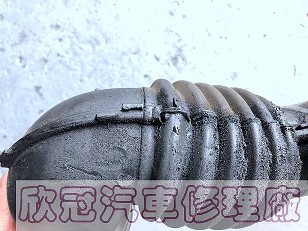 IMG_3503.jpg IMG_3503.jpg