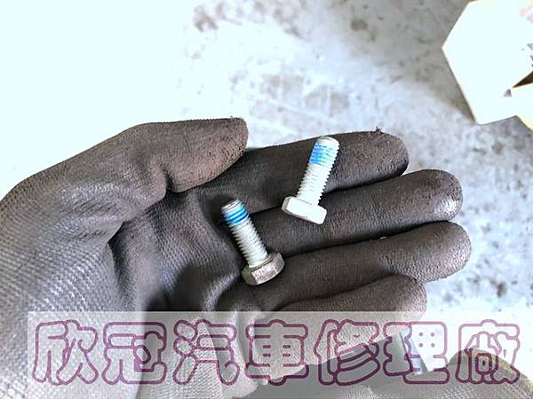 IMG_3582.jpg IMG_3582.jpg