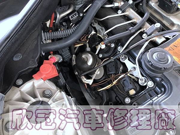 IMG_4186.jpg IMG_4186.jpg