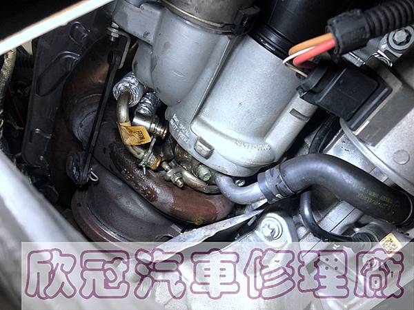 IMG_4350.jpg IMG_4350.jpg