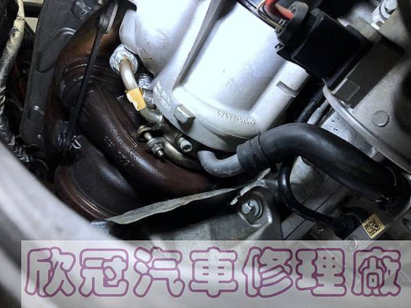 IMG_4353.jpg IMG_4353.jpg