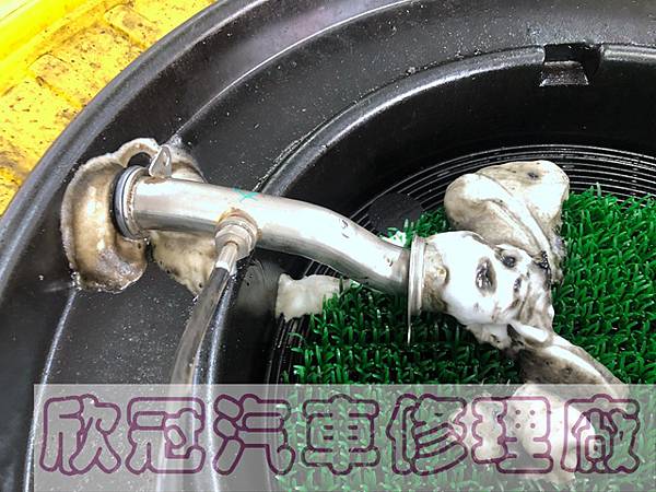 IMG_4312.jpg IMG_4312.jpg