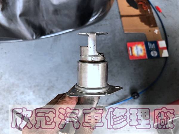 IMG_4317.jpg IMG_4317.jpg