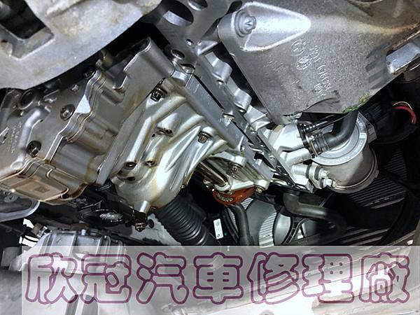 IMG_4335.jpg IMG_4335.jpg