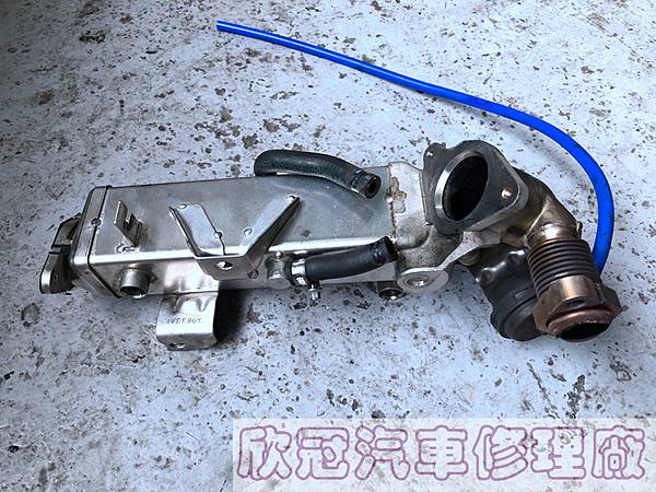 IMG_4371.jpg IMG_4371.jpg