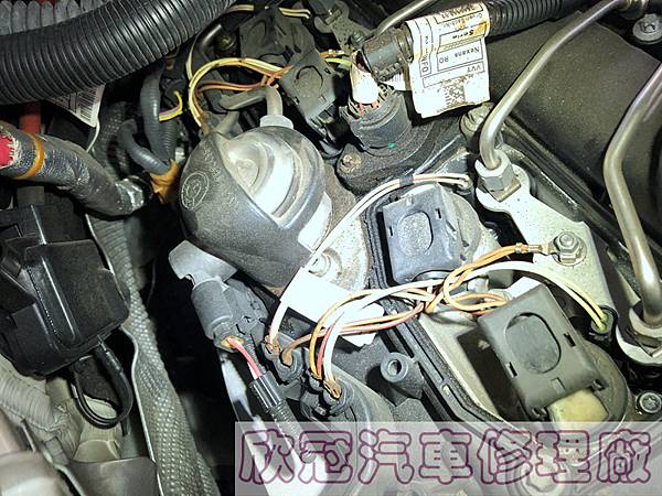 IMG_5431.jpg IMG_5431.jpg