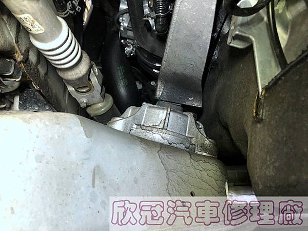 IMG_7342.jpg IMG_7342.jpg