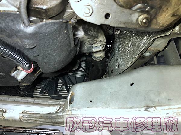 IMG_7345.jpg IMG_7345.jpg