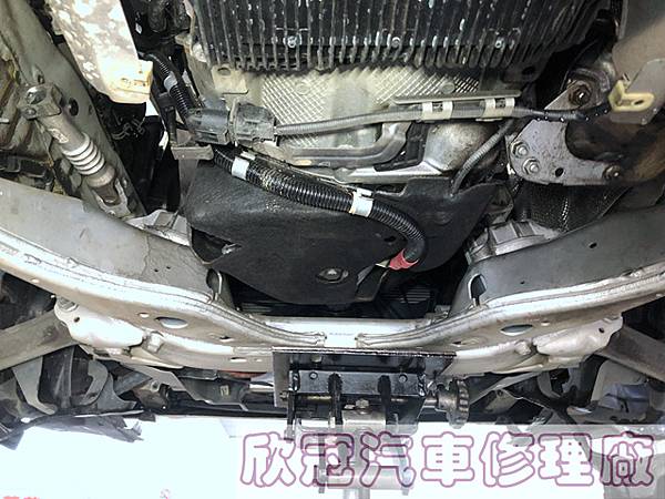 IMG_7341.jpg IMG_7341.jpg