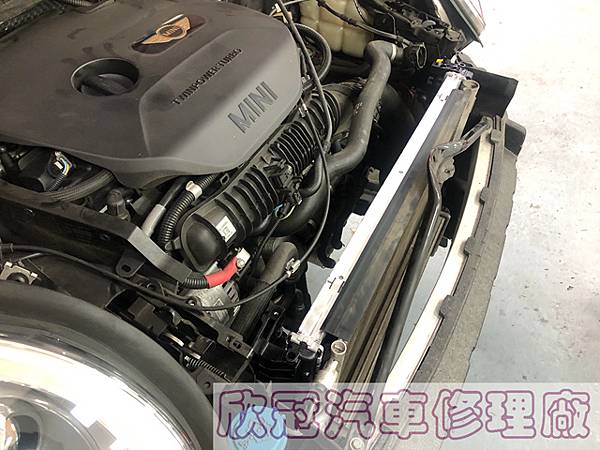 IMG_0300.jpg IMG_0300.jpg