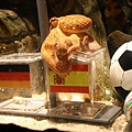 6e878535c42a279f9103b72018191cba-getty-germany-animal-fbl-wc2010-ger-esp-octopus-offbeat.jpg