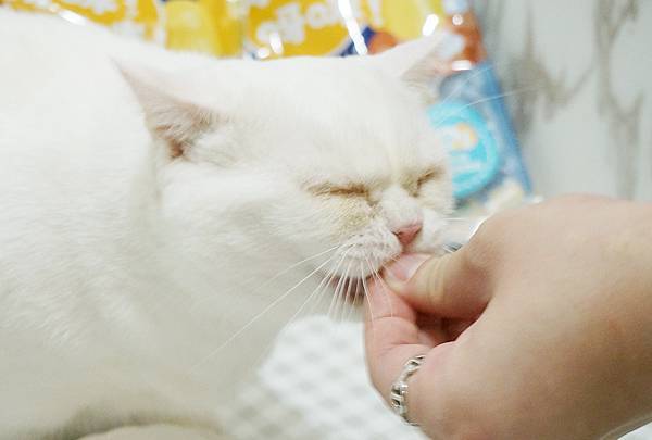 DSC09593.JPG 法式雞里肌佐甜菜醬
