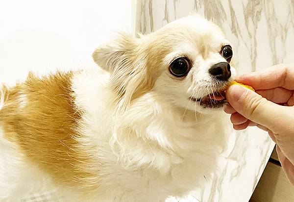 IMG_4860.jpg ♥ 印度雞柳佐薑黃咖哩