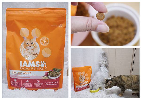 【貓飼料推薦-開箱】挑嘴三喵一致通過的滿分評價貓糧 ♥ IA