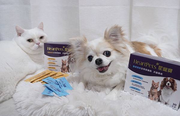 【寵物保健食品】HeartPets 星寵寶。毛孩日常保養的專