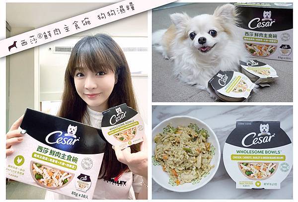 【成犬濕糧推薦】即開即食~【Cesar®西莎®鮮肉主食碗】 