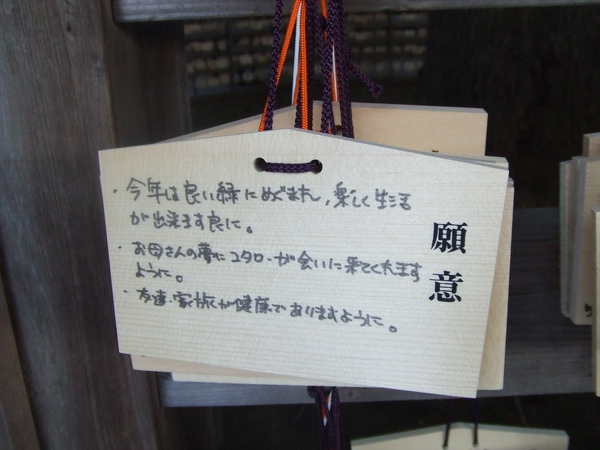 20100124 093.JPG