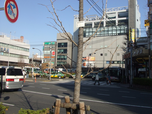 20100130 017.JPG