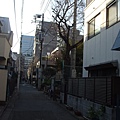 20100130 056.JPG