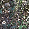 20100205 061.JPG