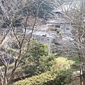 20100205 065.JPG