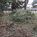 20100209 004.JPG