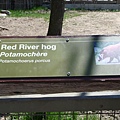 toronto zoo