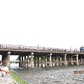 京都鴨川河堤