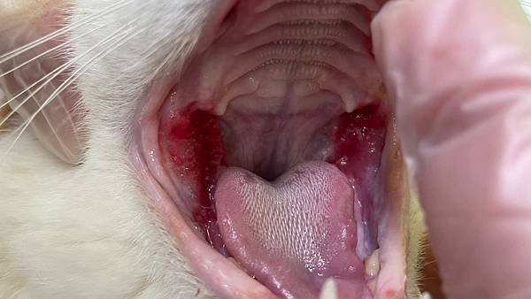 %E6%9C%AA%E5%91%BD%E5%90%8D