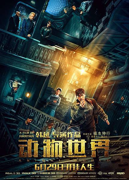 动物世界 动物世界