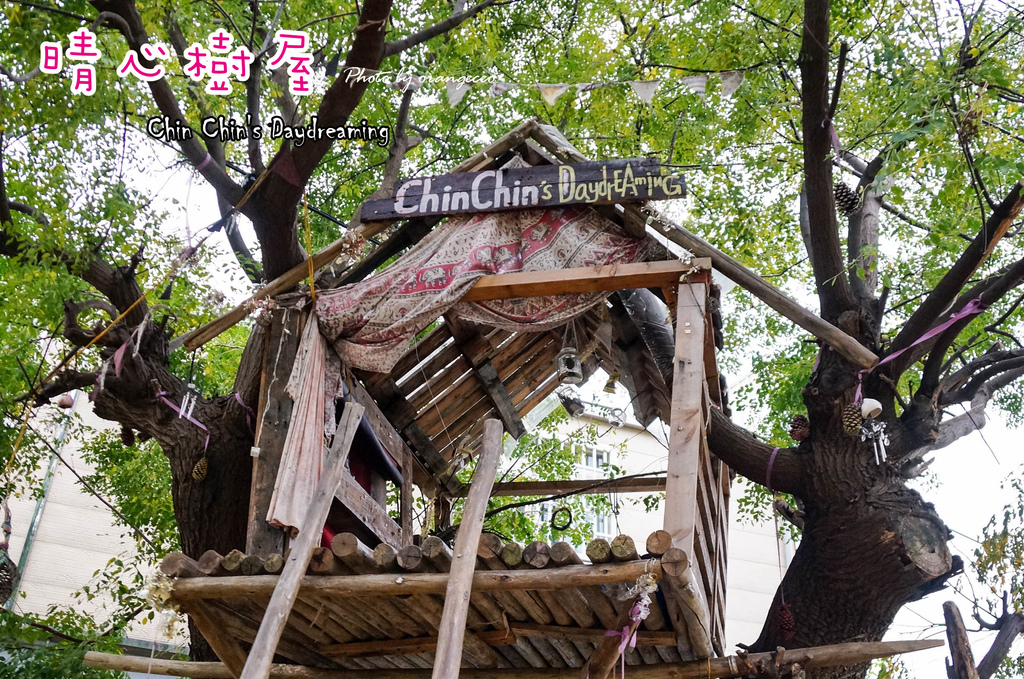 樹屋首圖 樹屋首圖
