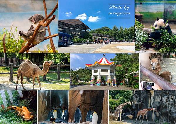 台北文山區))【臺北市立動物園Taipei Zoo (木柵動物園)】懷念童年時光來去看動物爆汗充實一整天動物園假日停車遊玩攻略@ 橘董orangeceo的玩樂美食地圖::