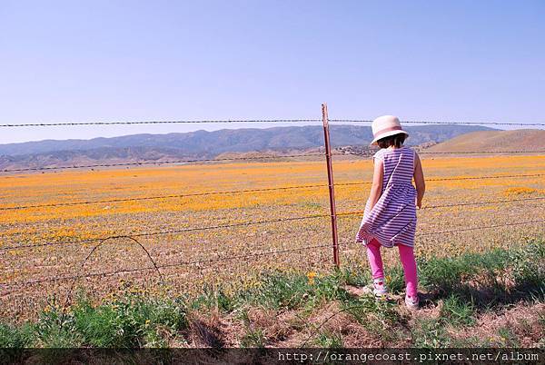 Antelope Valley 2014-04-20 003