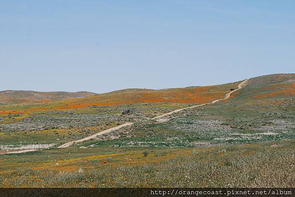 Antelope Valley 2014-04-20 169