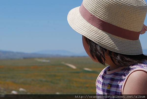 Antelope Valley 2014-04-20 171