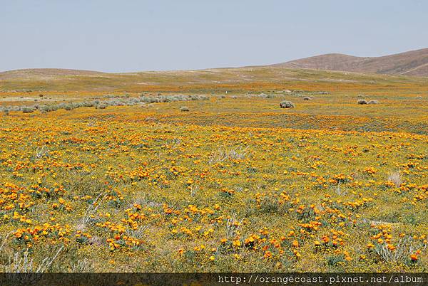 Antelope Valley 2014-04-20 375