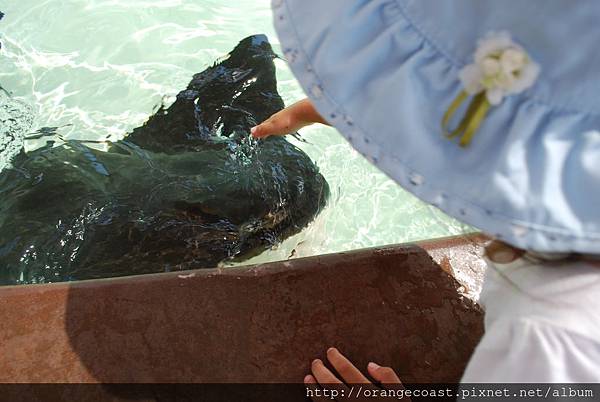 Sea World 2014-09-20 102