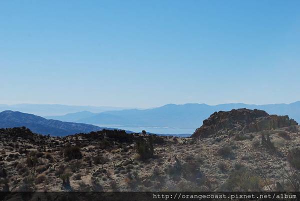 Joshua Tree 2015-11-23 080