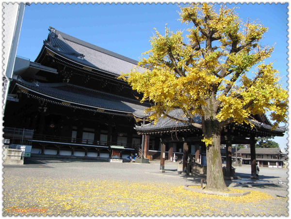 京都-283.jpg 京都-283.jpg