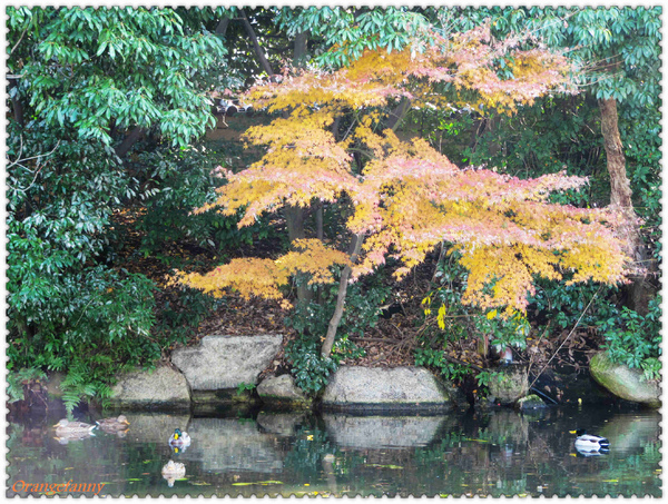 京都-292.jpg 京都-292.jpg