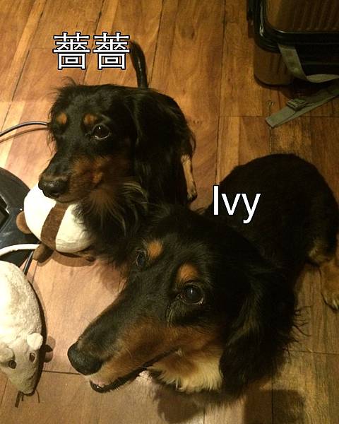 IMG_7840.JPG IMG_7840.JPG