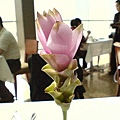 桌上的花3