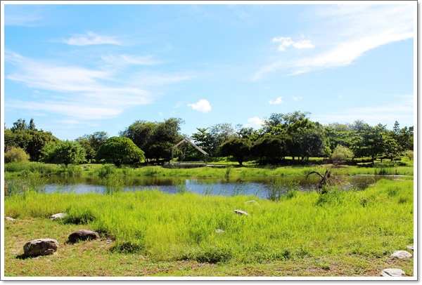 高雄都會公園7.jpg