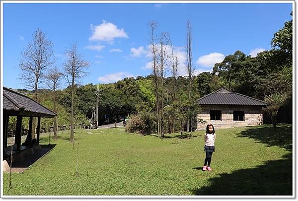 大崙頭山步道10.JPG