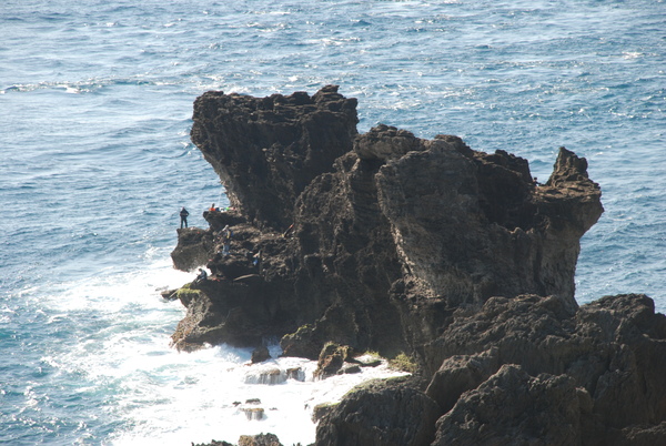 DSC_0235.JPG DSC_0235.JPG