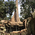 吳哥窟Angkor Wat 澄果旅遊