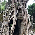 吳哥窟Angkor Wat 澄果旅遊